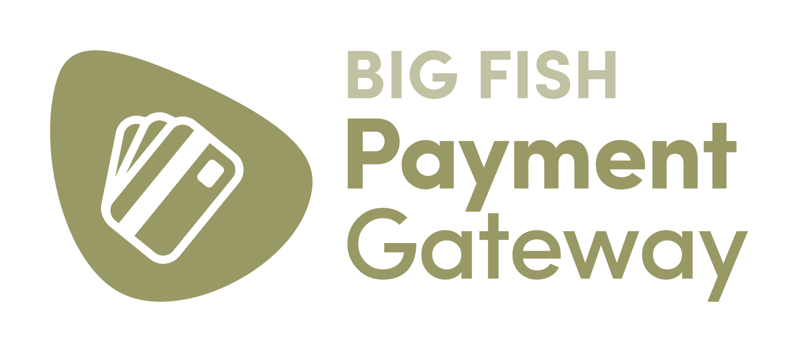BIG FISH Payment Gateway